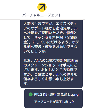 エクスペディアチャット：ANA特別対応スクショ添付